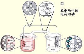 微量元素檢測儀廠家