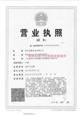 國康實業微量元素檢測儀廠家營業執照