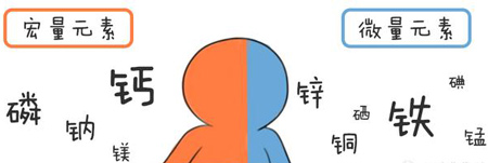 全自動微量元素分析儀幫助身體維持健康