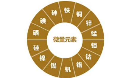 醫用微量元素檢測儀對視力的重要性