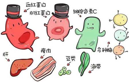 微量元素檢測儀廠家分析元素之間的協同作用