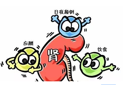 全自動微量元素檢測儀廠家談腎髒病與微量元素的關係