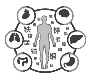 醫用微量元素分析儀廠家談微量元素的重要性