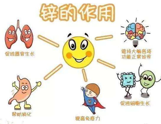 【全自動微量元素分析儀】廠家國康分析哪些兒童容易發生體內鋅缺乏？
