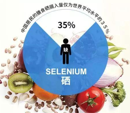 GK-2全自動微量元素分析儀廠家國康剖析硒對非特異性免疫功用的影響