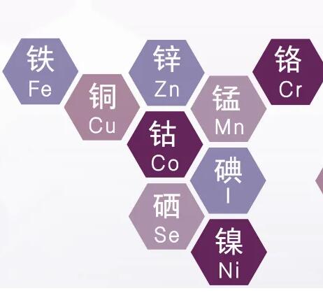 測兒童微量元素儀器 測兒童微量元素儀器