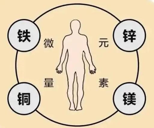 全自動微量元素分析儀廠家提示原創鐵是身體必須微量元素之一，哪些食物含鐵高呢？