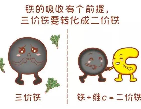 醫用微量元素分析儀廠家提醒大家鐵元素的重要性 醫用微量元素分析儀廠家提醒大家鐵元素的重要性