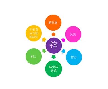 微量元素測定儀廠家提示關愛男士健康，適度補充鋅元素也不能少！