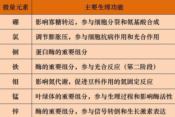 山東聊城全自動血鉛檢測儀一體機：微量元素的主要作用8.20